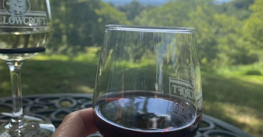 Washington, DC: Virginia Wine Region Experience Tour - Three to five wineries, shaped around your interests