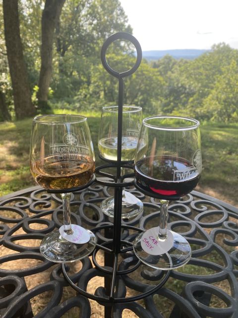 Washington, DC: Virginia Wine Region Experience Tour - Who will enjoy this Virginia wine tour most