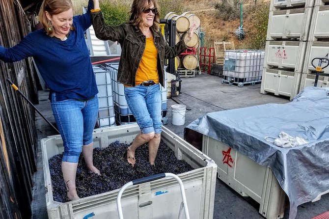 Waterfalls & Wine Tour-Multnomah Falls,Vineyards,Hood River Combo - Who should book this experience?