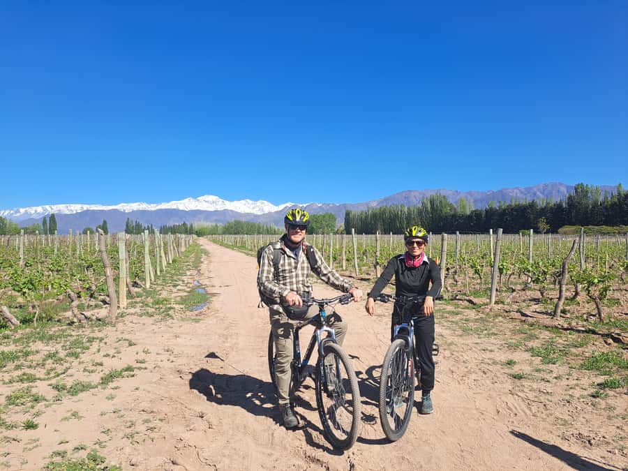Wine and Chocolate Bike Tour: ride, taste, lunch, vineyards. - Why this Mendoza bike tour works so well