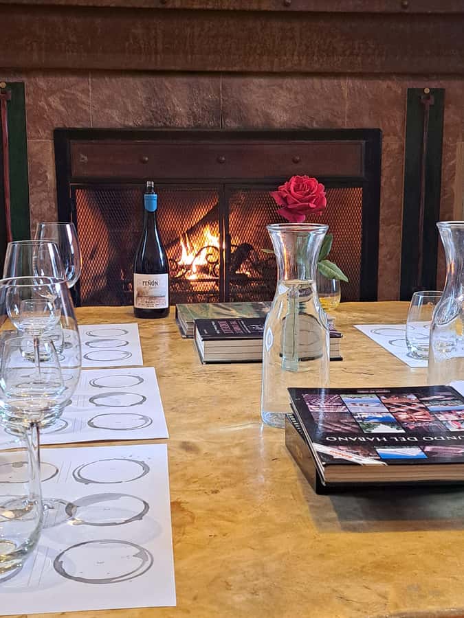 Wine and Chocolate Bike Tour: ride, taste, lunch, vineyards. - Finca Bandini and the vineyard-to-glass story