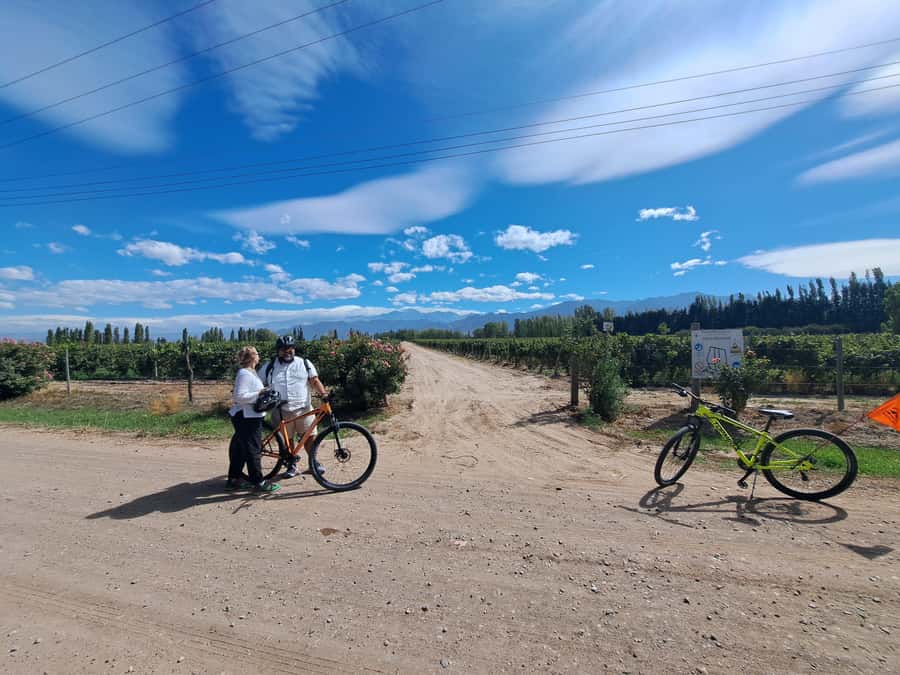 Wine and Chocolate Bike Tour: ride, taste, lunch, vineyards. - What the $200 price covers