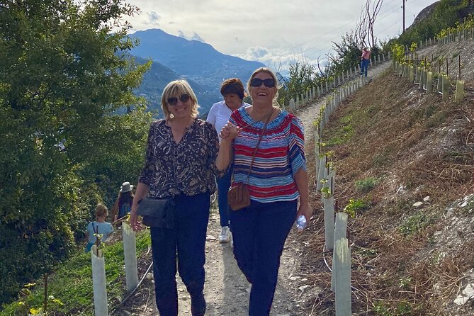 Wine and Dine Vineyard Walk in Sion - Why Sion is a smart setting for a wine day