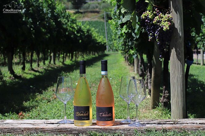 Wine and Food Tasting in the Vineyards in Lazise - A vineyard stroll, with a clear limit