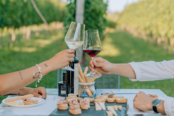 Wine and Food Tasting in the Vineyards in Lazise - Outdoor seating and the weather plan