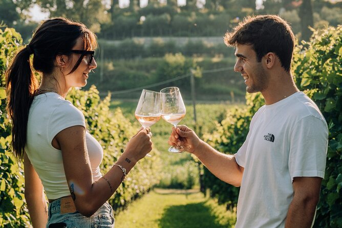 Wine and Food Tasting in the Vineyards in Lazise - Is the $50.81 price good value?