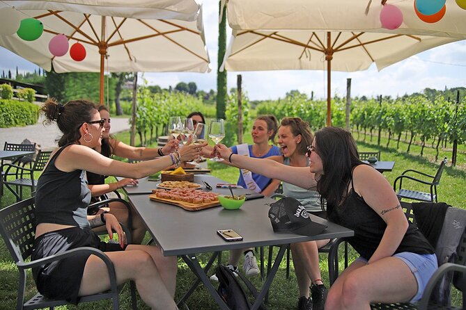 Wine and Food Tasting in the Vineyards in Lazise - Who will enjoy this Lazise wine tasting?