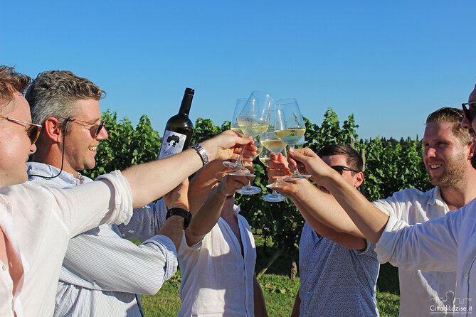 Wine and Food Tasting in the Vineyards in Lazise - Verona salami, cheese, and Garda olive oil