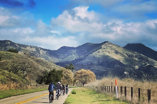 Wine Country E-Bike Guided Tour - w/o Lunch - Olive Hill Farm brings a different kind of tasting