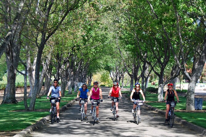 Wine Country Farm to Table Bike Tour w/Lunch - The guides make the difference