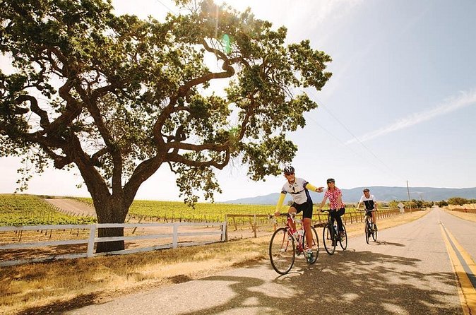 Wine Country Farm to Table Bike Tour w/Lunch - Bike quality deserves a careful check