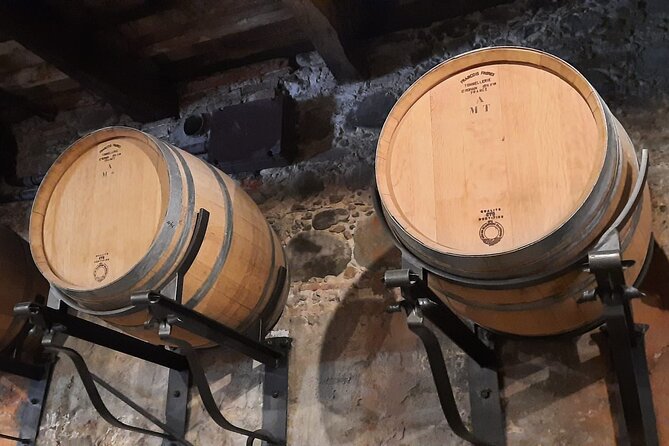 Wine Experience in farm vineyard & winery from Montecatini T. - Six wines, dessert wine, and grappa