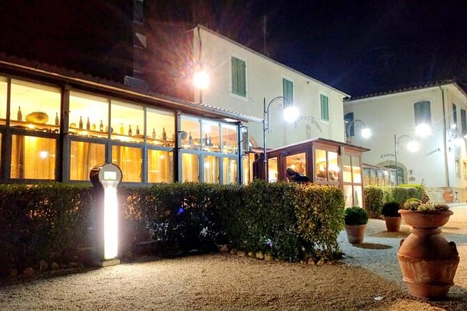 Wine Experience in farm vineyard & winery from Montecatini T. - The main strengths and limitations