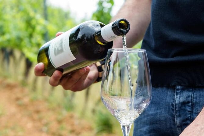 Wine Experience in farm vineyard & winery from Montecatini T. - The farmhouse table, from antipasto to homemade pasta
