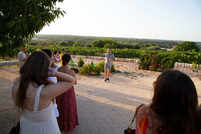 Wine Experience: vineyard, wines and food - How the hosting shapes the experience