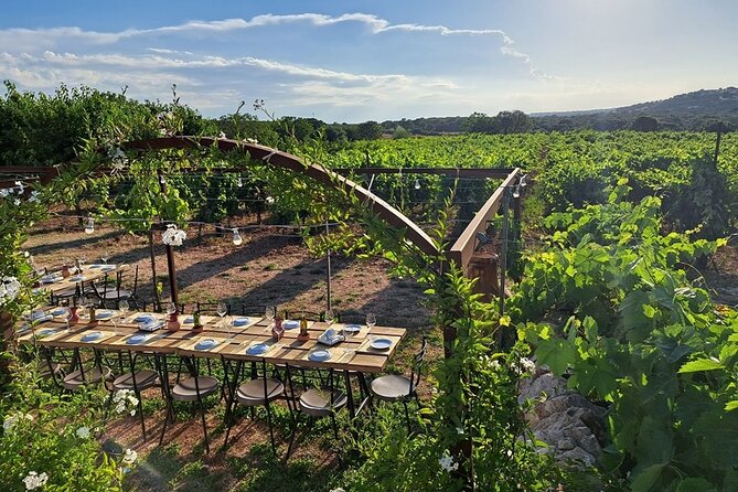 Wine Experience: vineyard, wines and food - Who will enjoy Vigna il Castagno most
