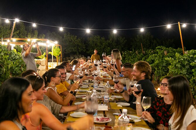 Wine Experience: vineyard, wines and food - Should you book this vineyard tasting?