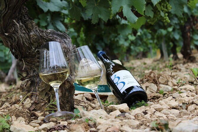 Wine Getaway with Tasting in the Chablis Vineyard - Key points about this Chablis vineyard outing