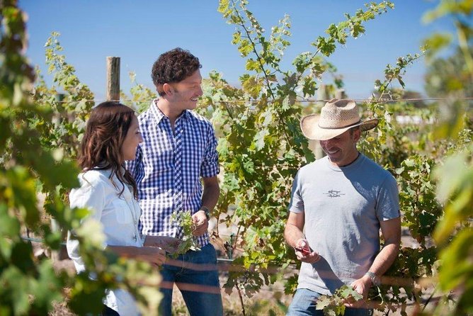 Wine Route tour starting from Querétaro - Tequisquiapan and its calm central streets