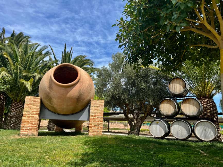 Wine Route with 3 Tastings & Castillo La Mola: Small Group - Key points at a glance