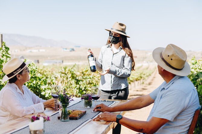 Wine Tasting Among Vineyards with Panoramic Views of the Valley - Key Details Before You Book