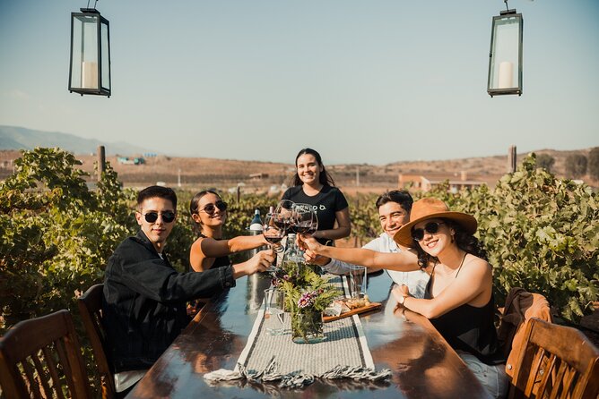 Wine Tasting Among Vineyards with Panoramic Views of the Valley - Rondo del Valle and the San Antonio de las Minas Setting