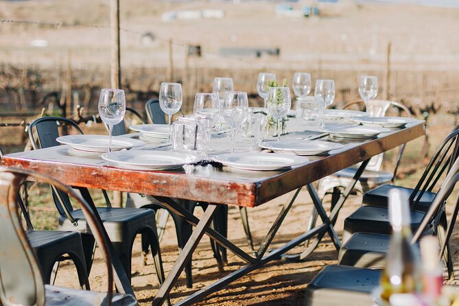 Wine Tasting Among Vineyards with Panoramic Views of the Valley - Is $65 a Fair Price?