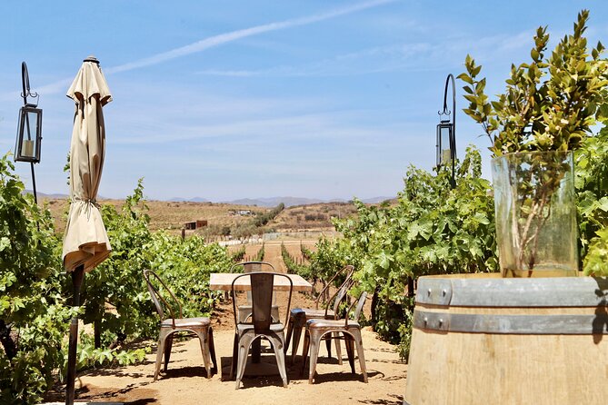 Wine Tasting Among Vineyards with Panoramic Views of the Valley - Timing, Booking, and Cancellation Details