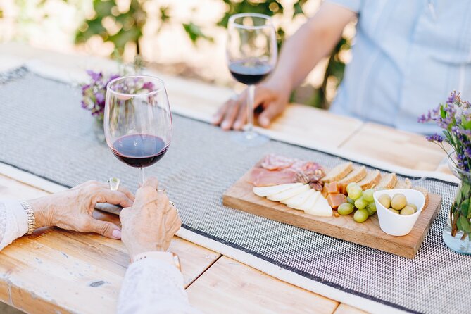 Wine Tasting Among Vineyards with Panoramic Views of the Valley - A Short Walk Through the Vine Cycle