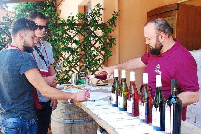 Wine Tasting and Guided Visit to the Vineyard and Cellar in S. Maria Imbaro - A quiet wine stop near the Trabocchi Coast