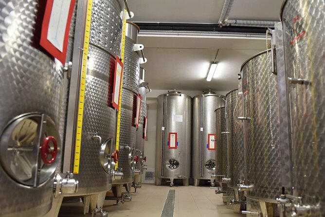Wine Tasting and Guided Visit to the Vineyard and Cellar in S. Maria Imbaro - The best setting may come after sunset