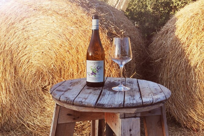Wine Tasting and Guided Visit to the Vineyard and Cellar in S. Maria Imbaro - Who will enjoy La Vinarte most