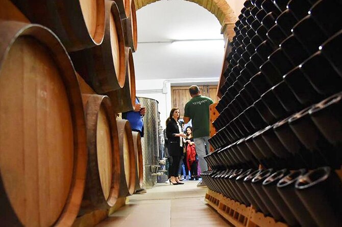 Wine Tasting and Guided Visit to the Vineyard and Cellar in S. Maria Imbaro - Walking through the vineyard and countryside