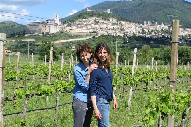 Wine tasting and walk in the Vineyard of Assisi - What happens in the tasting room