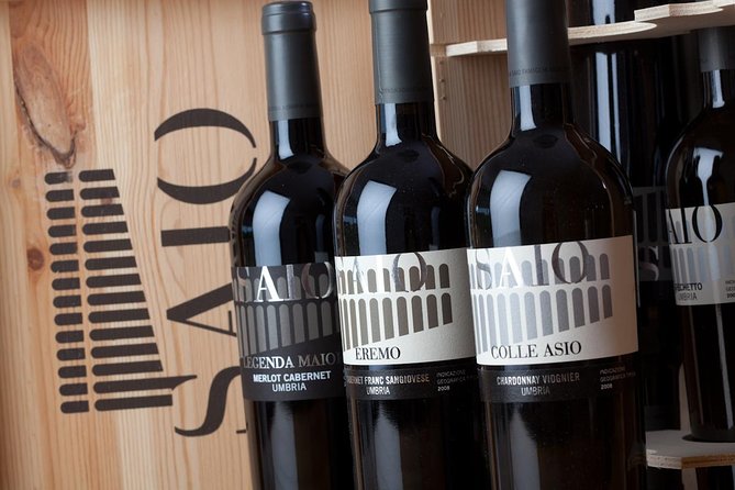 Wine tasting and walk in the Vineyard of Assisi - Timing, group size, and practical planning