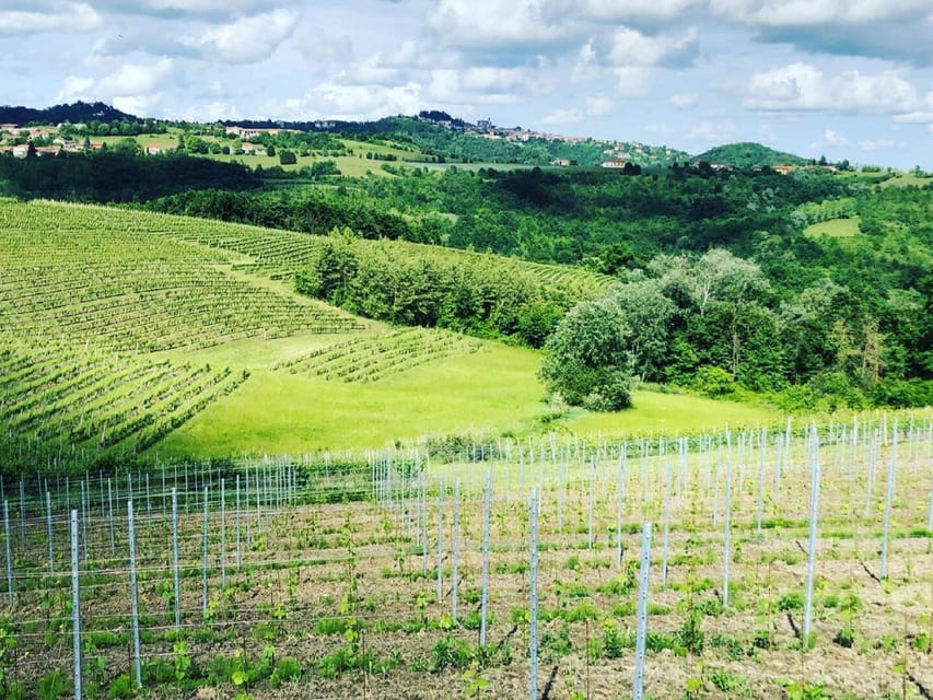 Wine Tasting and Winery Visit near Asti and Turin - Finding Cantina Roggero Vini In Albugnano