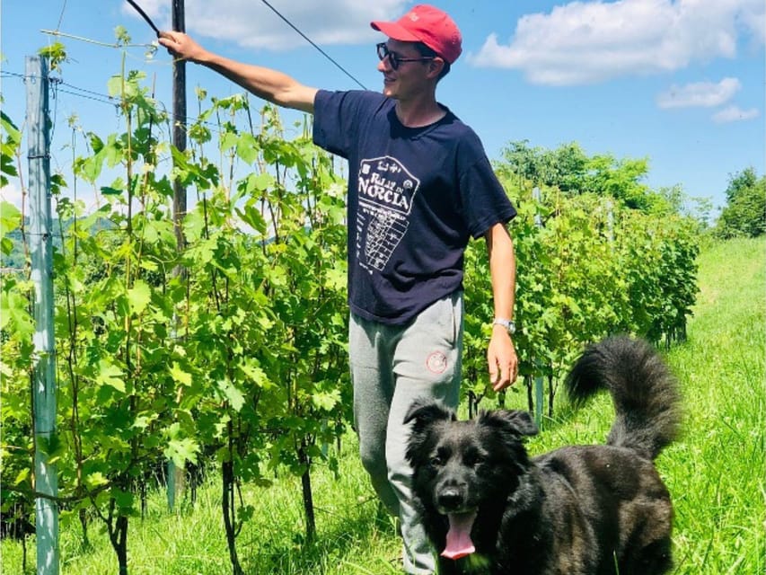 Wine Tasting and Winery Visit near Asti and Turin - From Production Rooms To The Aging Cellar