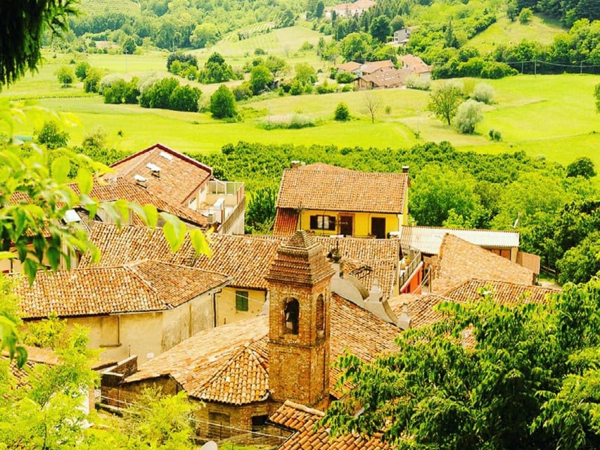 Wine Tasting and Winery Visit near Asti and Turin - A Fifteen-Minute Walk Through The Monferrato Hills