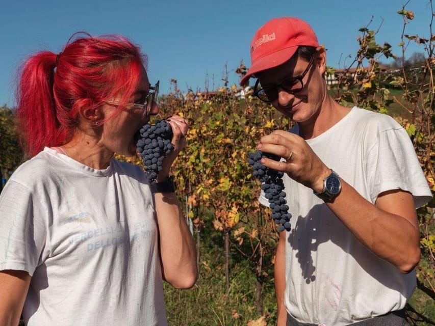 Wine Tasting and Winery Visit near Asti and Turin - Four Wines And A Piedmont Table
