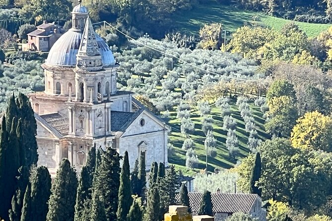 Wine Tasting in Montepulciano with Visit to the Vineyards Private Tour - The cellar, from wooden vats to vaulted arches