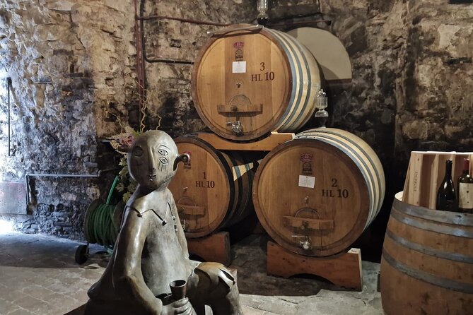 Wine Tasting in Montepulciano with Visit to the Vineyards Private Tour - The guides and the human side of the day