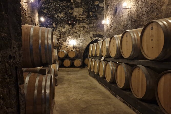 Wine Tasting in Montepulciano with Visit to the Vineyards Private Tour - Who should book this Montepulciano tour?