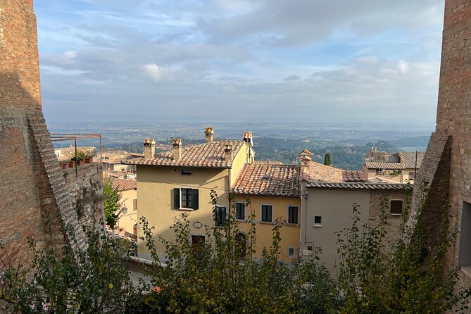Wine Tasting in Montepulciano with Visit to the Vineyards Private Tour - Inside the Fontecornino vineyards