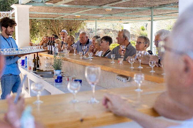 Wine tasting in Rhodes, inside the vineyards with the Producer - Why this Rhodes wine experience is different