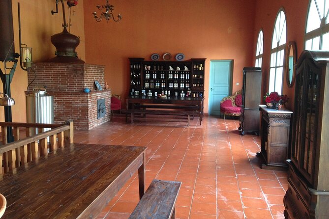 Wine tasting in Rhodes, inside the vineyards with the Producer - Inside the Dodekanissos Souma distillery