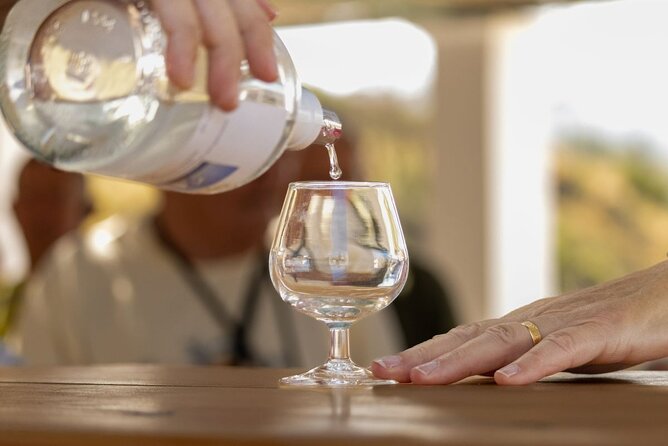 Wine tasting in Rhodes, inside the vineyards with the Producer - Seeing the winery before the tasting