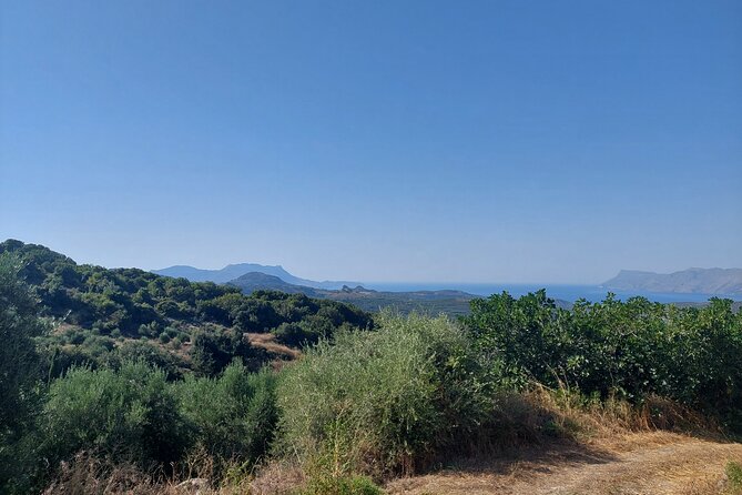 Wine Tasting: Meet the Cretan Vineyard at West Chania - Location and timing in practical terms