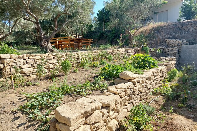 Wine Tasting: Meet the Cretan Vineyard at West Chania - Is $60.01 a fair price?