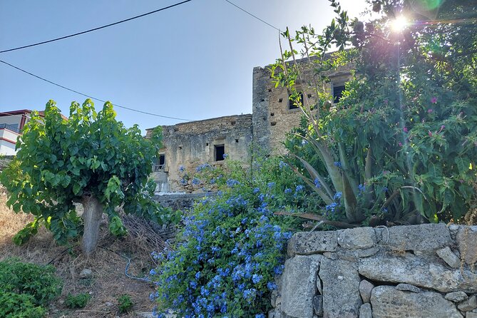 Wine Tasting: Meet the Cretan Vineyard at West Chania - Why the small group size matters