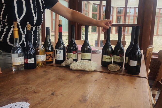 Wine Tasting Tour in Tokaj Wine Region Slovakia. With transport - Three hours at a Tokaj winery